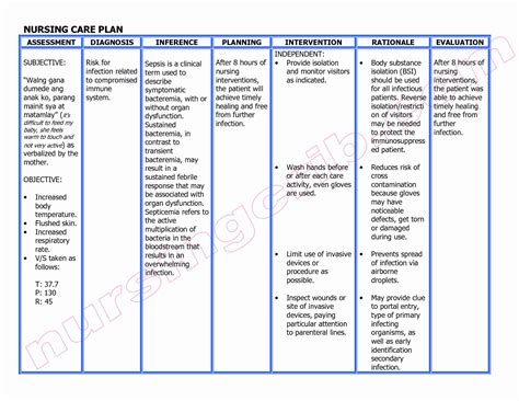 Examples Of Nursing Care Plans Example Document Template Nursing