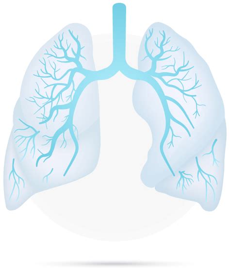 Lung Nodule Treatment Information You Need To Know