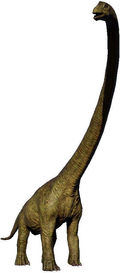 Mamenchisaurus Jurassic World Evolution Wiki Fandom