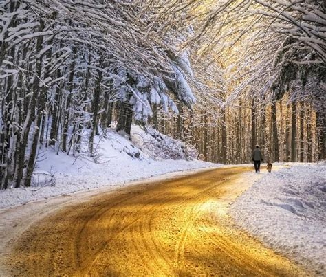 Yellow Road In The Snow Scenic Photos Landscape Landscape Photos