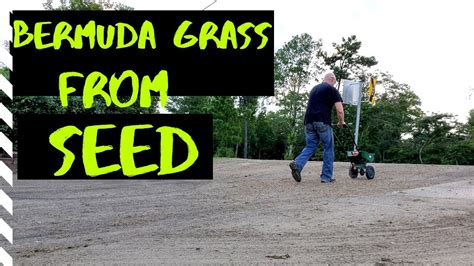 How To Plant Grass Seed Bermuda Seed Milorganite Youtube