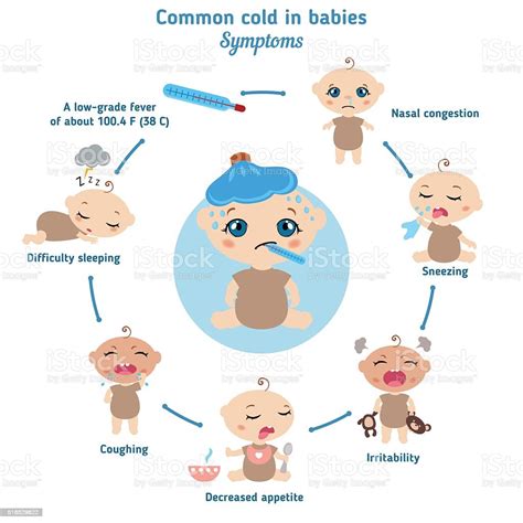 Common Cold In Babies Symptoms Stock Vector Art And More Images Of Baby
