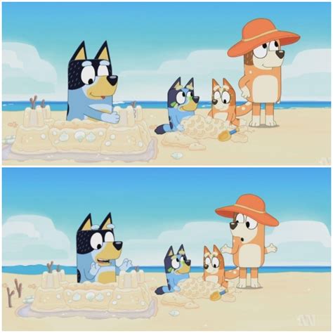 Look At Bandit Hes Just Living His Best Sandcastle Life Bandb Arent
