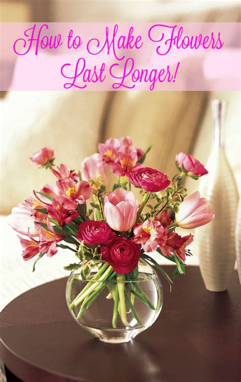 Here's how to keep your flowers alive for longer at home. How to Make Flowers Last Longer in a Vase