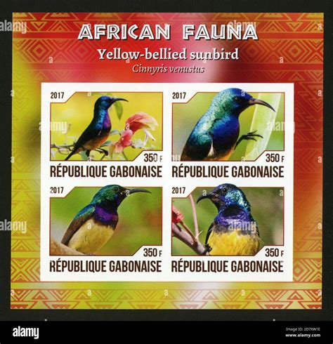 Stamp Print In Gabon 2017 Birds Stock Photo Alamy