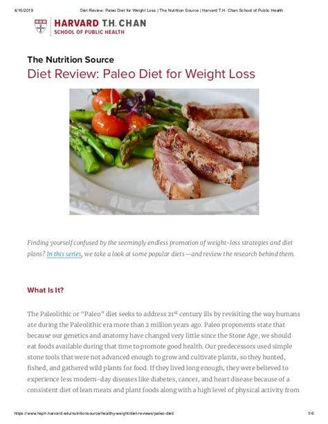 the top 22 ideas about paleo diet review weight loss best recipes ideas and collections