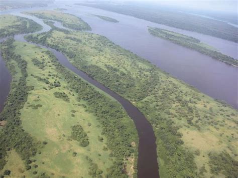 Río Congo Características Formación Y Amenazas