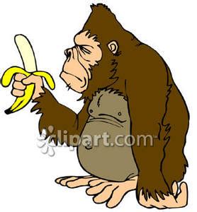 An Ape Holding A Peeled Banana Clipart Panda Free Clipart Images