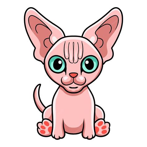 Premium Vector Cute Sphynx Cat Cartoon Sitting