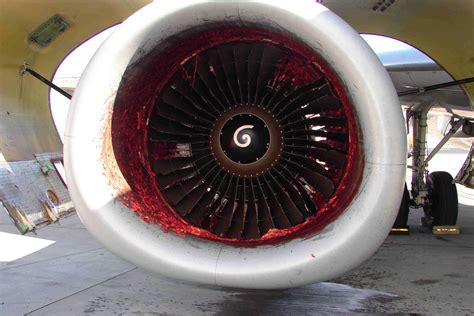 This Is What It Looks Like When A Person Goes Through A 737 Engine