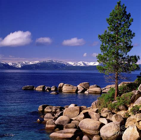 Lake Tahoe Shore One Photograph By Vance Fox Pixels
