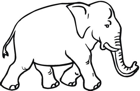 Elephant Coloring Pages To Clipart Panda Free Clipart Images