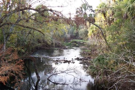 Hillsborough River State Park In Tampa United States Of America