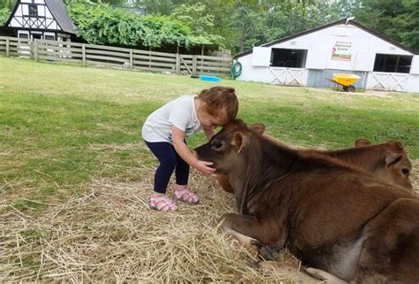 A petting zoo is a zoo which keeps domesticated farm animals such as horses, goats, and sheep, along with some tame wild animals, like deer or turtles. Petting Zoos Near NYC Where Kids Can See Farm Animals ...