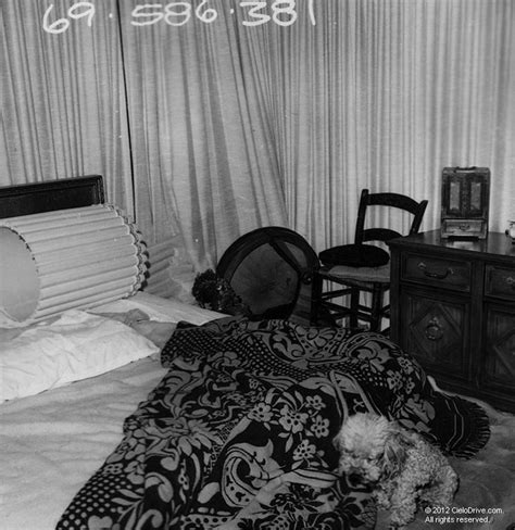 Discover more posts about crime scene photos. A dog sits on the LaBianca's bed. Behind it, LAPD found ...