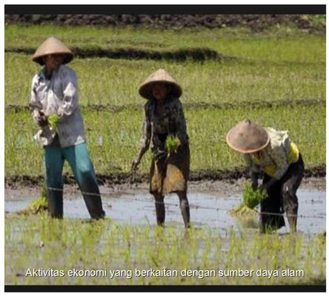 Perkembangan pendidikan berkaitan alam sekitar. Aktivitas ekonomi yang berkaitan dengan sumber daya alam ...