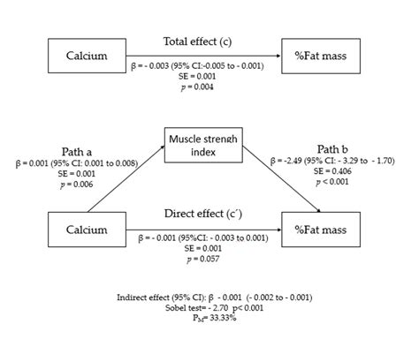 Mediation Model Of The Relationship Between Total Dietary Calcium Download Scientific Diagram