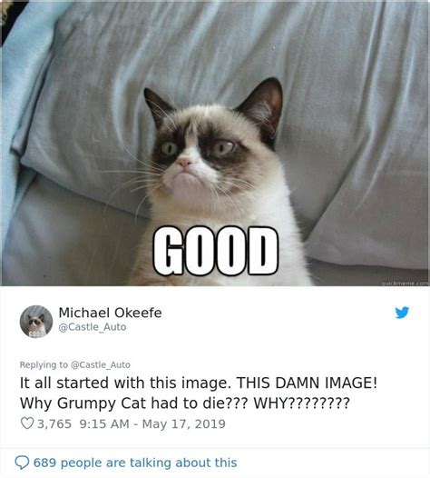 Grumpy Cat Dies Aged 7 Grumpy Cat Grumpy Cat Meme Funny Disney Memes