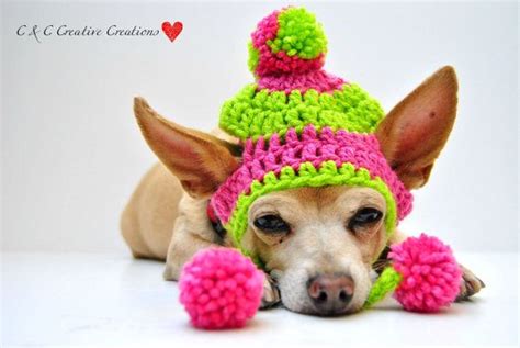 Pink And Green Two Tone Dog Hat By Cccreativecreations On Etsy 1400