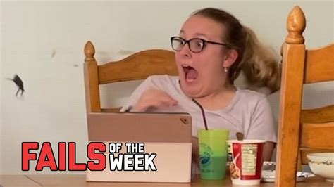 Dont Freak Out Fails Of The Week Failarmy Video Dailymotion