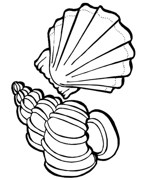 Big Ocean Shells Coloring Page For Kids