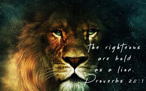 Proverbs 281 The Righteous Are Bold As A Lion Like A Lion Lion