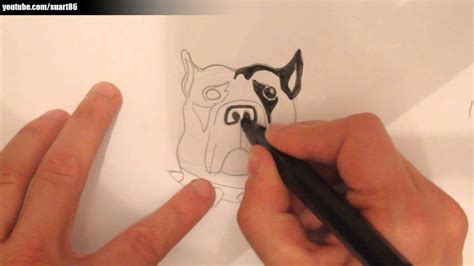 Como Dibujar Un Perro Pitbull Paso A Paso Youtube