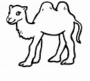 Free Printable Camel Coloring Pages For Kids - Animal Place