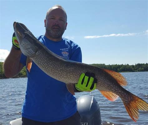 Dave S 40 Inch Northern Pike Master Angler Harris Hill Resort