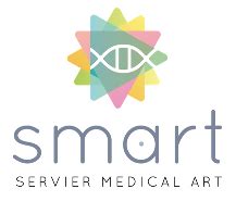 Logo Smart Servier Medical Art