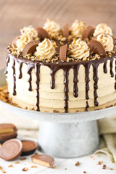 It's simple enough for an afternoon tea but special enough for a party . Peanut Butter Chocolate Layer Cake - Life Love and Sugar