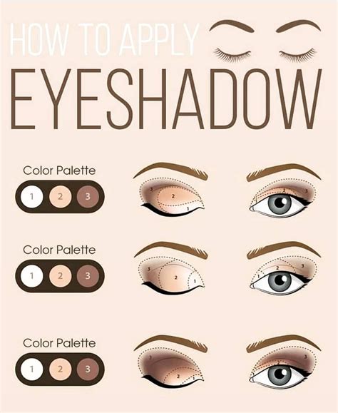 Eyeshadow Guide How To Do Eyeshadow Applying Eyeshadow Contour Makeup Skin Makeup Eyeshadow
