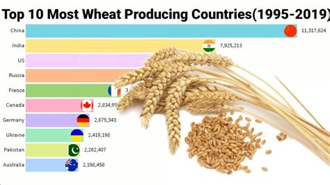 Map Of Top 10 Wheat Producing States Of India India W Vrogue Co