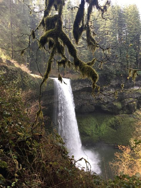 Silver Falls State Park In Oregon A Guide To The Trail Of Ten