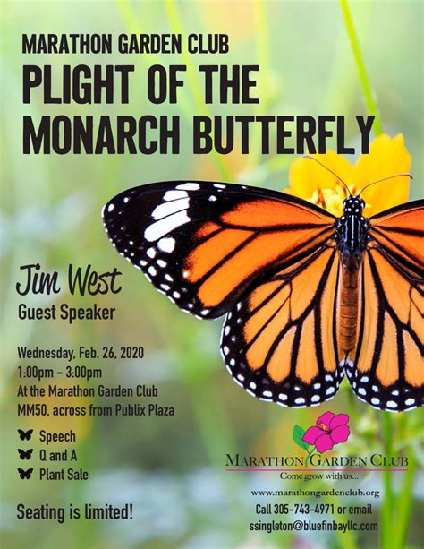 Plight Of The Monarch Butterfly Marathon Garden Club