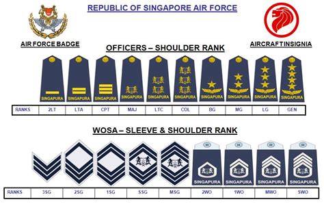 Singapore Armed Forces Ranks Everything You Need To Know With Photos