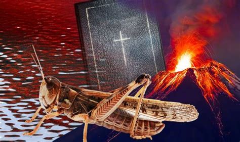 end of the world 10 biblical plagues on earth spark claims ‘we re living in exodus weird