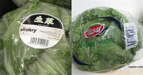 Sheng siong fut créé par lim hock chee, son directeur général actuel. Iceberg lettuce containing high levels of pesticide recalled from NTUC FairPrice & Sheng Siong ...