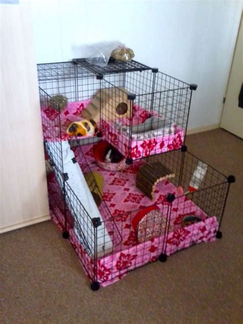 My Cage With Other Fleece Guinea Pig Cage Photos