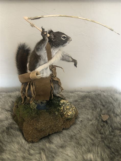 Gallery — Squirrel Warriors