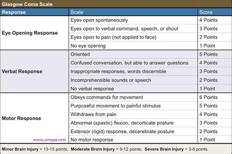 How To Assess The Glasgow Coma Scalegcs Clinically