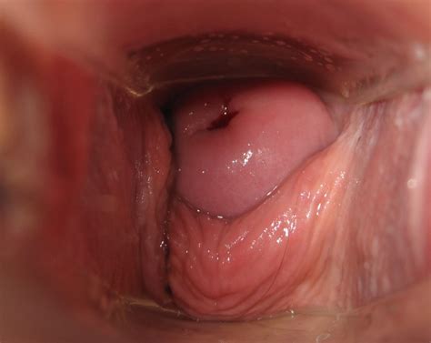 Penis Sperm Inside A Vagina Close Up Upicsz Com