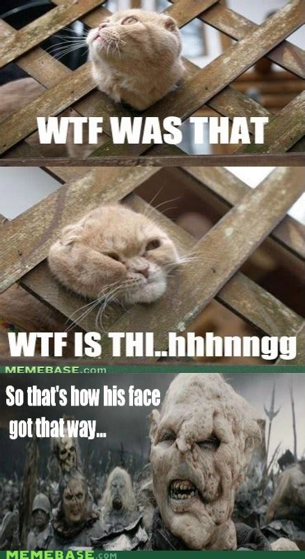 Gothmog You Silly Kitty Memebase Funny Memes