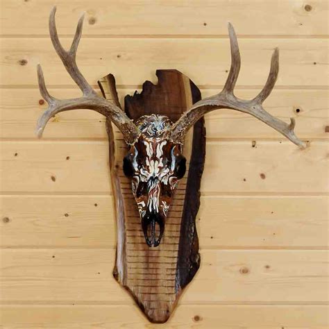 How To Do A European Mount For Deer