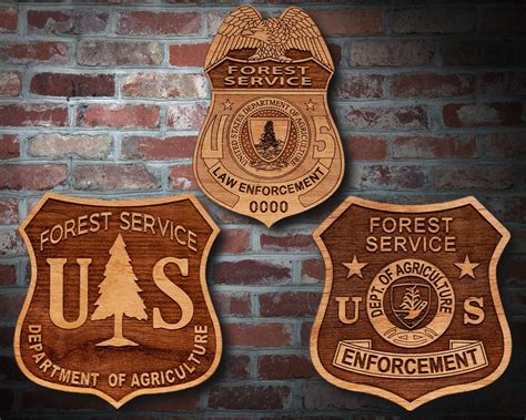 Usda Forest Service Badge Or Patch Plaque Etsy Uk