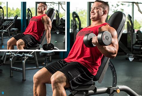 Exerciții Biceps 10 Exerciții Pentru Masă Musculară