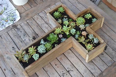 Clare Elizabeth Xo Succulent Planter Box Diy