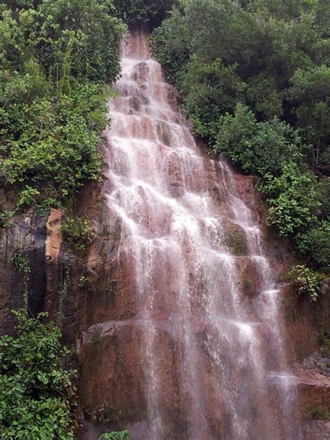 Gambir sarawak ingredients makes you last longer in bed and will fix the sexual issue of premature ejaculation. Bukit Gambir waterfall turns murky - an early warning ...