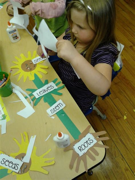 Pin By Adanna Nzeh On Plant Preschool Science Kindergarten Science