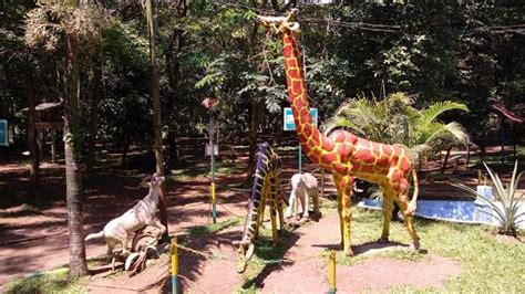 Kebun binatang ini memiliki fasilitas yang lengkap dan menarik. Wisata Tracking Jungle di Kebun Binatang Medan, Capek Tapi ...